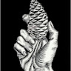 Meet your Posher, Adrienne